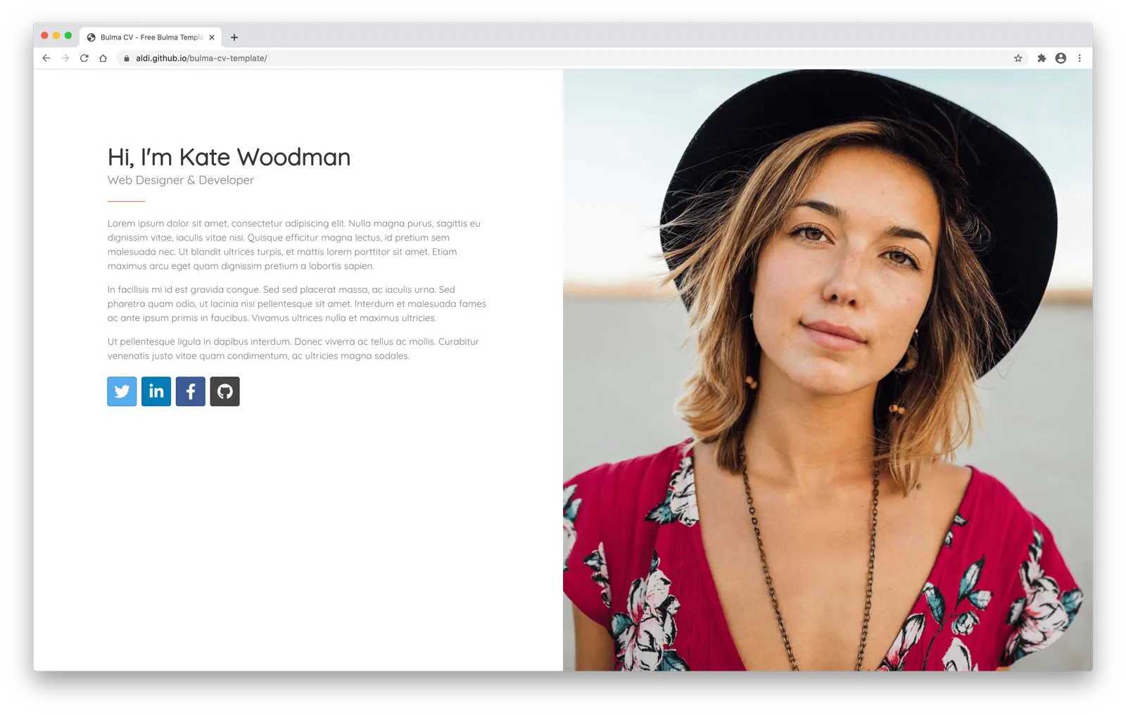 CV template screenshot
